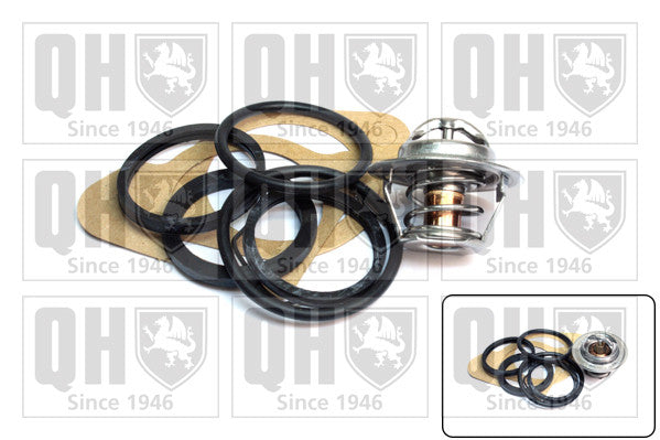 FOR AUDI 50 CAPRI TRANSIT VAUXHALL ASTRA VECTRA VW GOLF POLO QTH118K THERMOSTAT 
