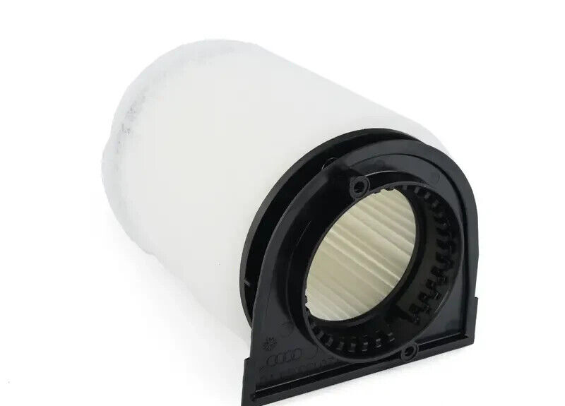GENUINE AIR FILTER AUDI R8 4.2 2013-2015 s-tronic 420133843C  Genuine Audi