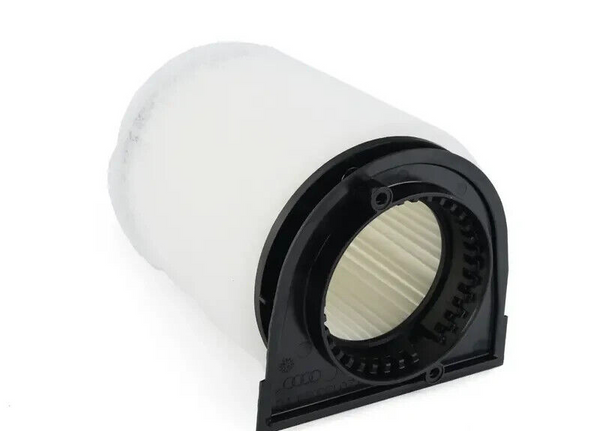 GENUINE AIR FILTER AUDI R8 4.2 2013-2015 s-tronic 420133843C  Genuine Audi