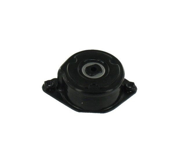 BMW 3 SERIES 320D SE (E46) AUXILIARY FAN BELT TENSIONER