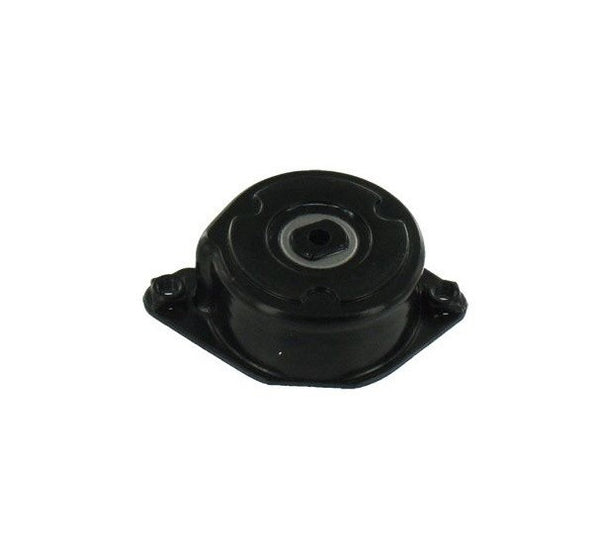 BMW 3 SERIES 320D SE (E46) AUXILIARY FAN BELT TENSIONER
