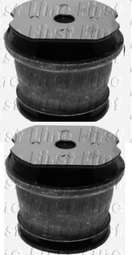  FOR FIAT MAREA BAVO BRAVA PALIO REAR SUBFRAME REAR BUSHES  X2