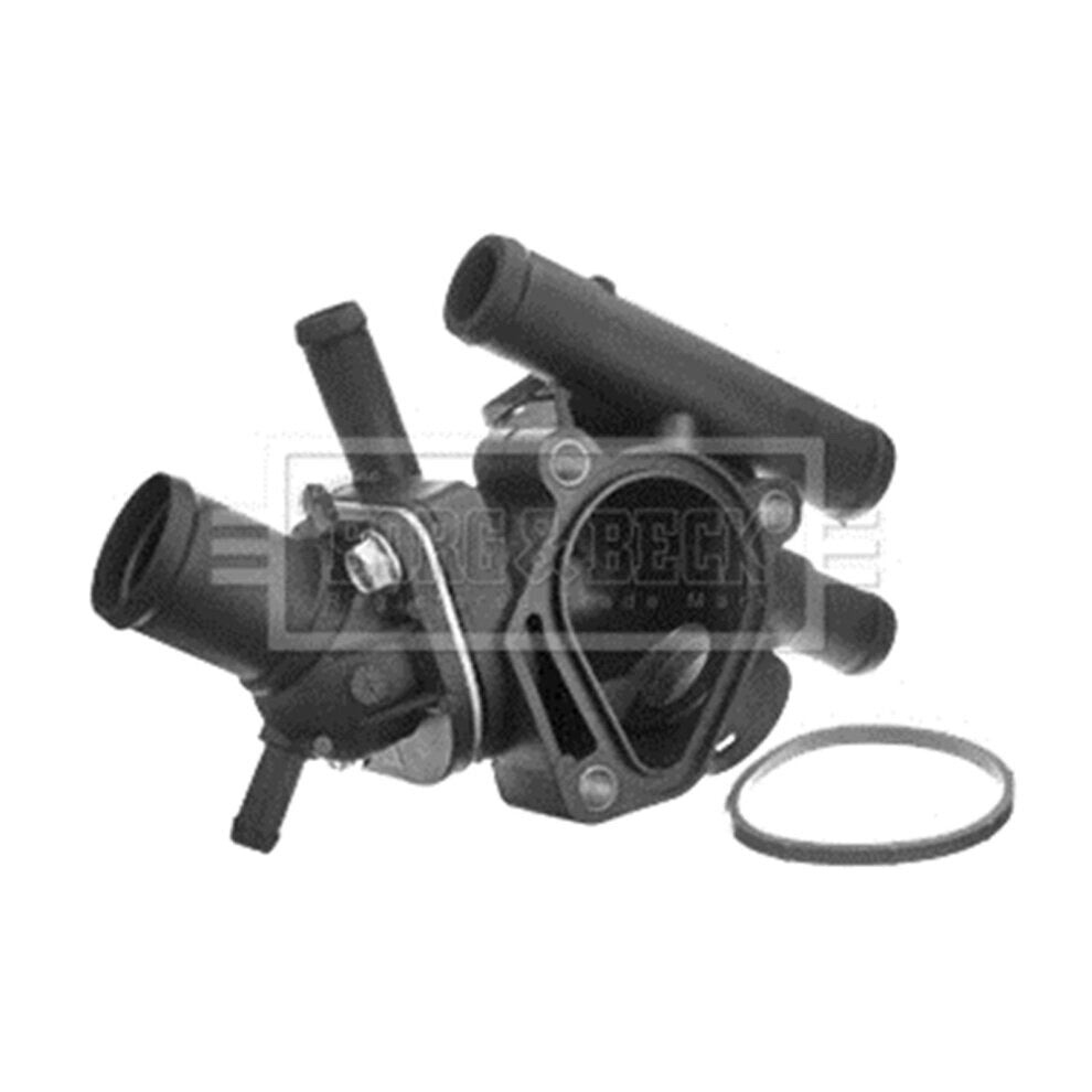 RENAULT KANGOO SCENIC CLIO 1.9TD 2.0 THERMOSTAT COMPLET