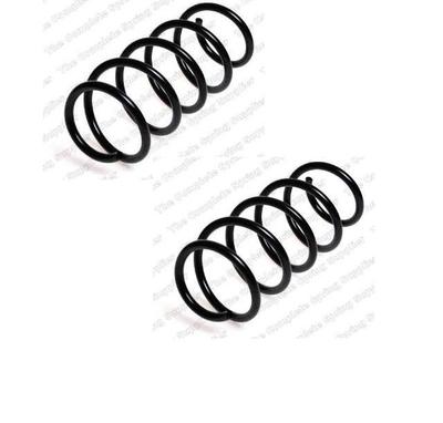 FOR VAUXHALL CORSA C 3DR 5DR REAR COIL SPRINGS LEFT RIGHT PAIR