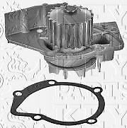 PEUGEOT 306 206 406 307 806 2.0hdi PARTNER WATER PUMP 
