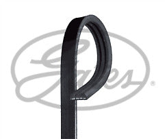 FOR FORD MONDEO 2.5 ST200 ST24 COUGAR 2.5 V6 WATER PUMP BELT NEW